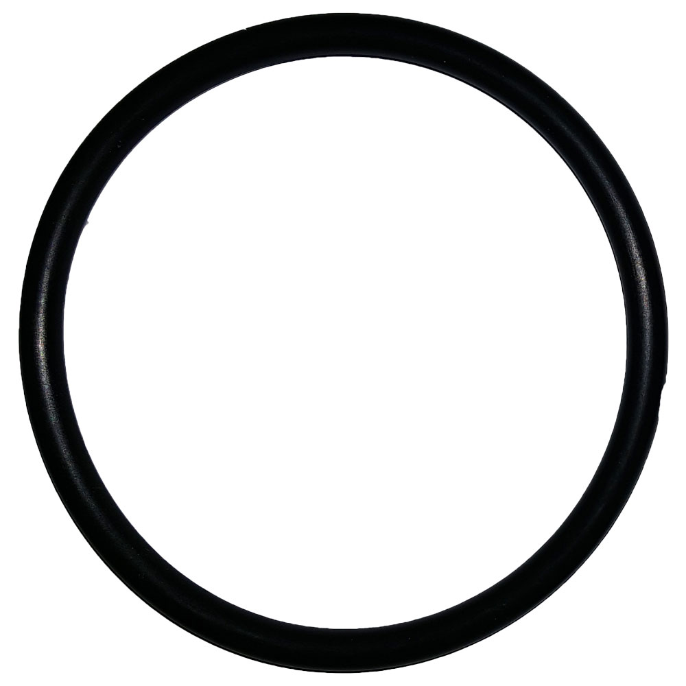 151120 - O-Ring for Pentek 3/4" Filter Housing