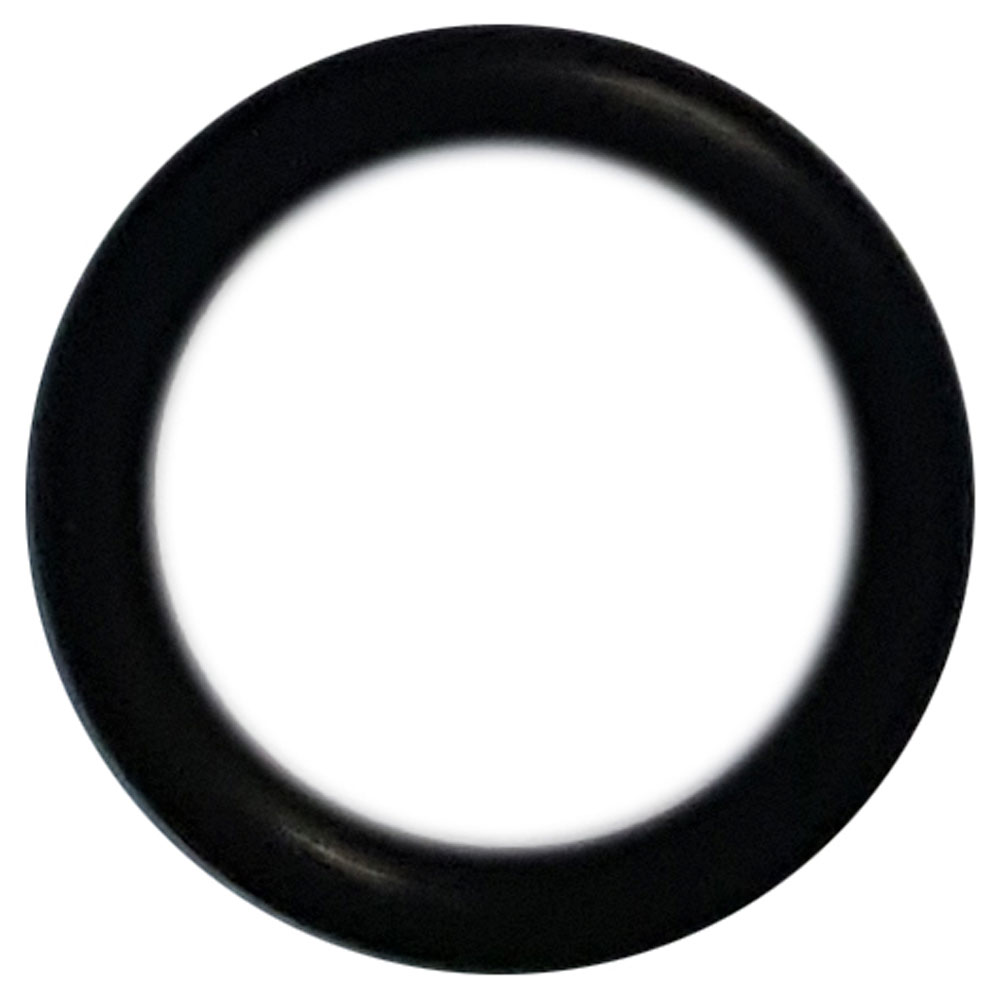 0900060 O-ring for Sensor Housing